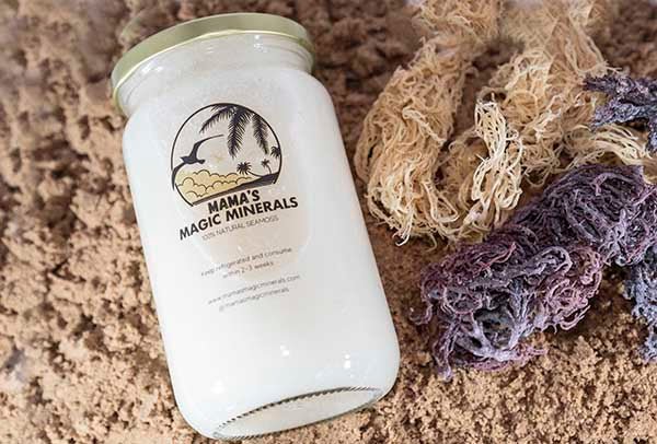 100% Gold Sea Moss Gel 500g