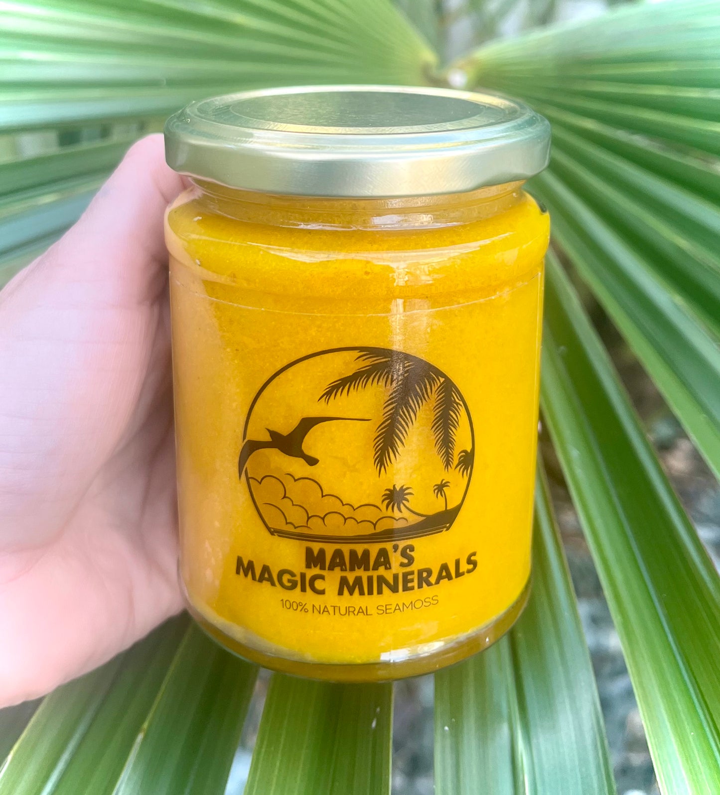 100% Gold Sea Moss x Turmeric 500g