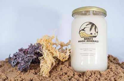 Gold Sea Moss x Black Seed Oil 500g